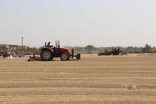 /gb2312/qishiyegonghui/11136.html